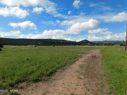 24 26 County Road 4128, Eagar, AZ 85925 photo 3