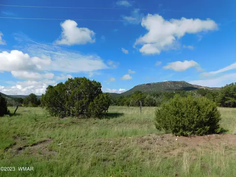 24 26 County Road 4128, Eagar, AZ 85925 photo 7