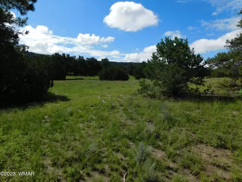 24 26 County Road 4128, Eagar, AZ 85925 photo 9