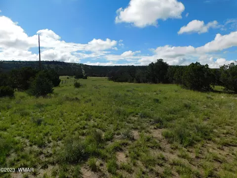 24 26 County Road 4128, Eagar, AZ 85925 photo 5