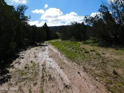 24 26 County Road 4128, Eagar, AZ 85925 photo 2
