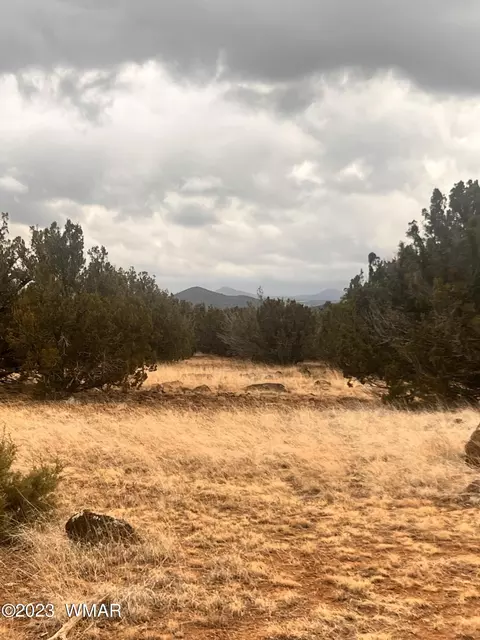 004 A Shady Oak # C, Show Low, AZ 85901