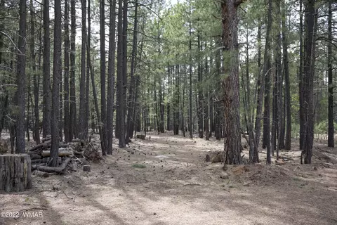 1924 Quilt Country Dr #781, Forest Lakes, AZ 85931
