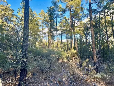 tbd Sombrero Dr, Show Low, AZ 85901