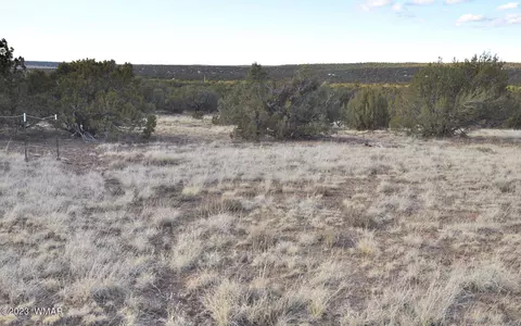 159 County Road N8055, Concho, AZ 85924 photo 18