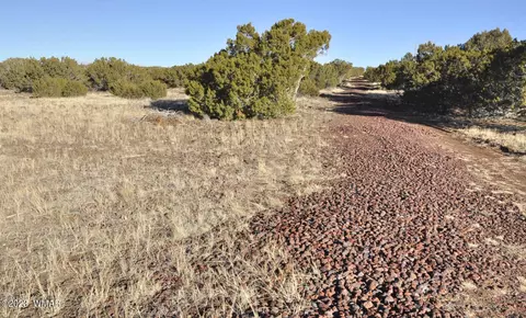 159 County Road N8055, Concho, AZ 85924 photo 22