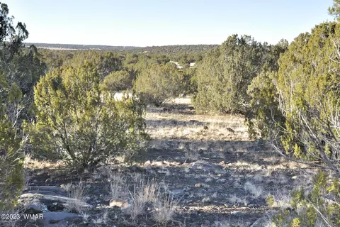 91 Tamarron Rnch, Concho, AZ 85924