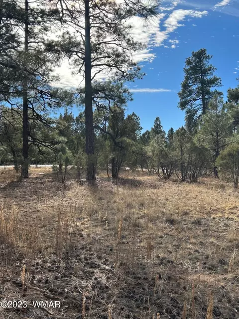 4670 W Hawthorn Rd, Show Low, AZ 85901