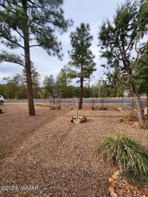 41 Timber Ridge Loop, Show Low, AZ 85901 photo 4