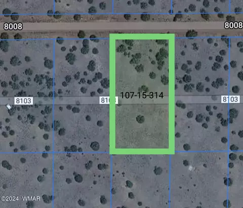 52 Co Rd, Concho, AZ 85924