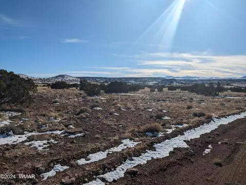lot120 River Springs Rnch #3, Saint Johns, AZ 85936