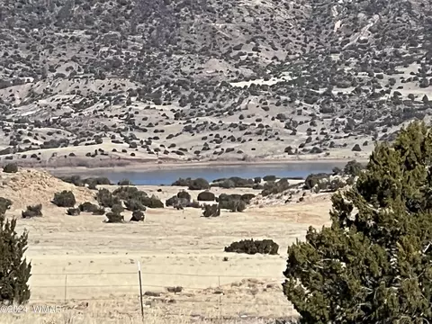 View/Area - 77 N 4019, Concho, AZ 85924 photo 2 of 2