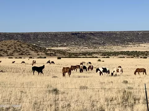 Other - 77 N 4019, Concho, AZ 85924 photo 12 of 12