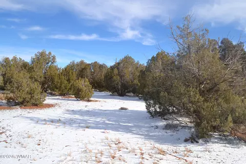 4401 Clydesdale Rd, Snowflake, AZ 85937