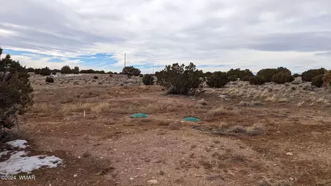 lot92 County Rd 8620, Concho, AZ 85924