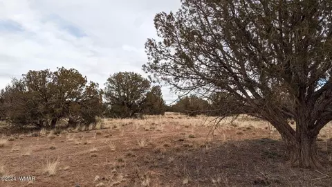 4457 4451 Pinto Rd, Snowflake, AZ 85937 photo 3