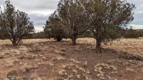 4457 4451 Pinto Rd, Snowflake, AZ 85937