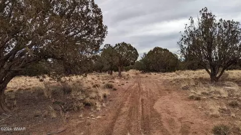 4457 4451 Pinto Rd, Snowflake, AZ 85937 photo 4