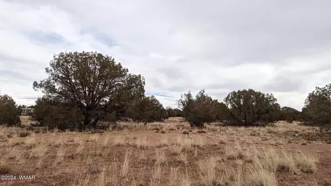 4457 4451 Pinto Rd, Snowflake, AZ 85937 photo 6