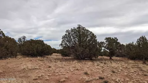 4457 4451 Pinto Rd, Snowflake, AZ 85937 photo 2