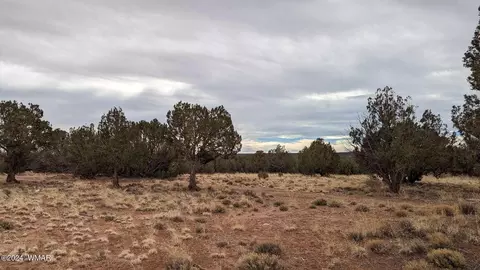 4457 4451 Pinto Rd, Snowflake, AZ 85937 photo 5