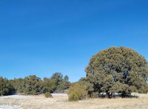65 County Road N3138, Vernon, AZ 85940