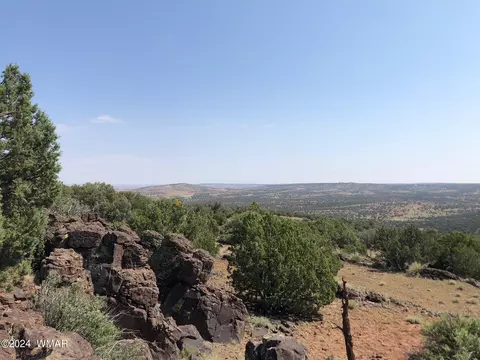 Tbd County Road N8509, Concho, AZ 85924