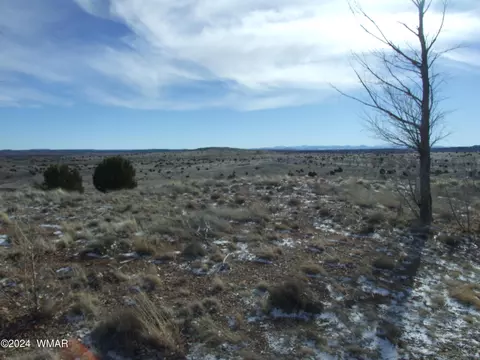 Lot 40 Peach Court At Taylor Farms, Taylor, AZ 85939