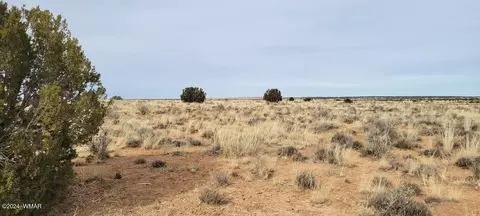 tbd Lois Ln #LOT 033S, Snowflake, AZ 85937