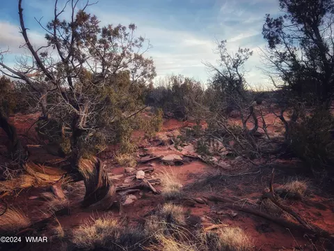64 County Road N5331, Concho, AZ 85924 photo 41