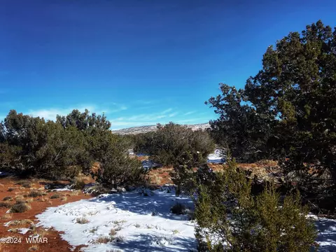 64 County Road N5331, Concho, AZ 85924 photo 36