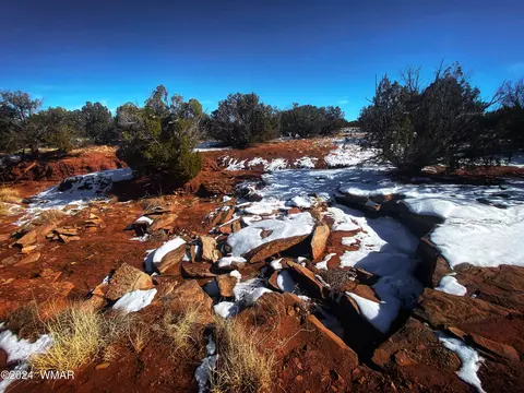 64 County Road N5331, Concho, AZ 85924 photo 32