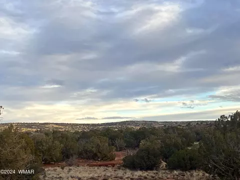 64 County Road N5331, Concho, AZ 85924 photo 26