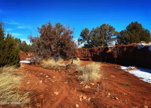 64 County Road N5331, Concho, AZ 85924 photo 34