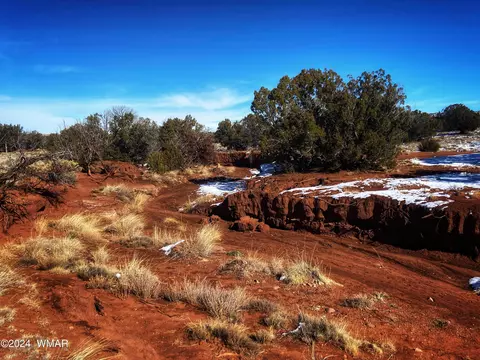 64 County Road N5331, Concho, AZ 85924 photo 33