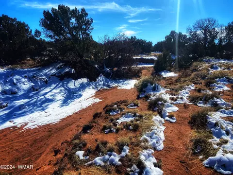 64 County Road N5331, Concho, AZ 85924 photo 30