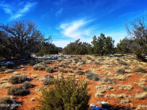 64 County Road N5331, Concho, AZ 85924 photo 37