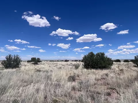 8539 Terry Trl, Snowflake, AZ 85937