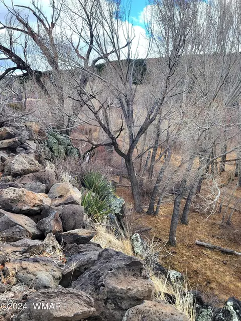 tbd Highway 260, Eagar, AZ 85925 photo 5