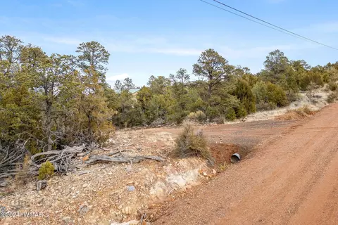 2030 Shadow Pines Dr, Overgaard, AZ 85933 photo 13