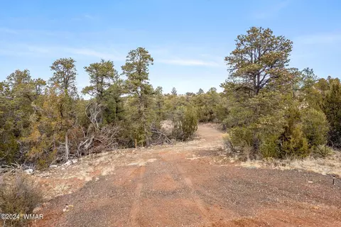 2030 Shadow Pines Dr, Overgaard, AZ 85933 photo 14