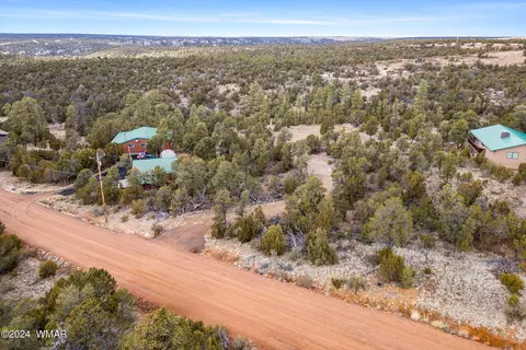 2030 Shadow Pines Dr, Overgaard, AZ 85933 photo 3