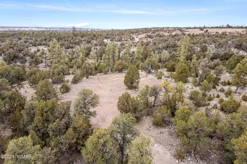 2030 Shadow Pines Dr, Overgaard, AZ 85933 photo 12