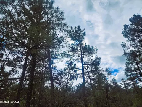 5197 Hilltop Dr, Lakeside, AZ 85929