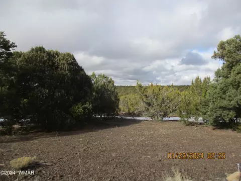 45 Cr, Vernon, AZ 85940