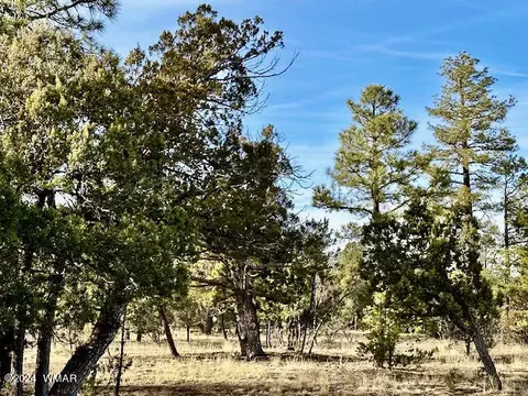 2864 Buck Cir, Overgaard, AZ 85933