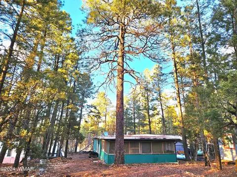 2762 Gold Dust Trl, Show Low, AZ 85901