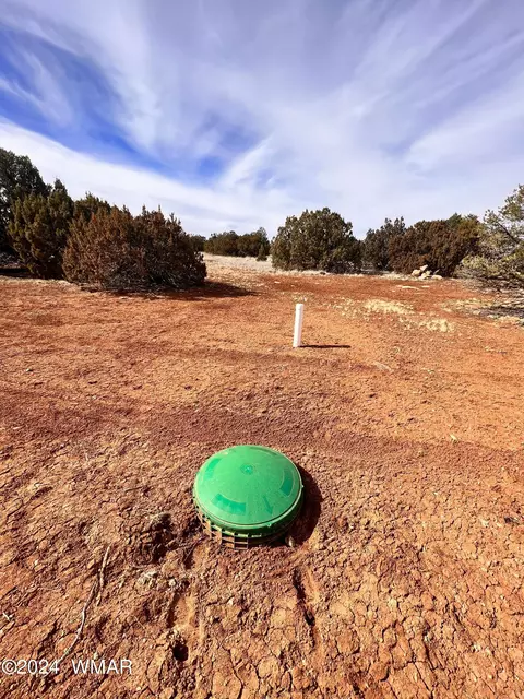 88 California Rd, Concho, AZ 85924