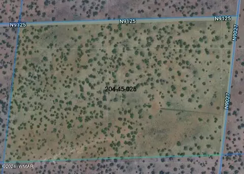 Tbd N9027, Concho, AZ 85924 photo 4