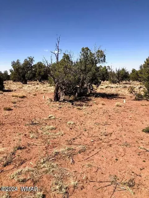 Tbd N9027, Concho, AZ 85924 photo 2